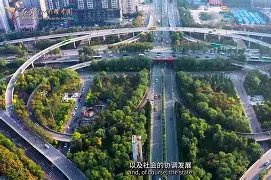 开云在线登陆入口-瓦伦西亚最强时期